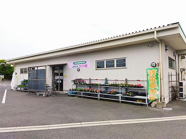 新鮮市場さくら館（1116m）