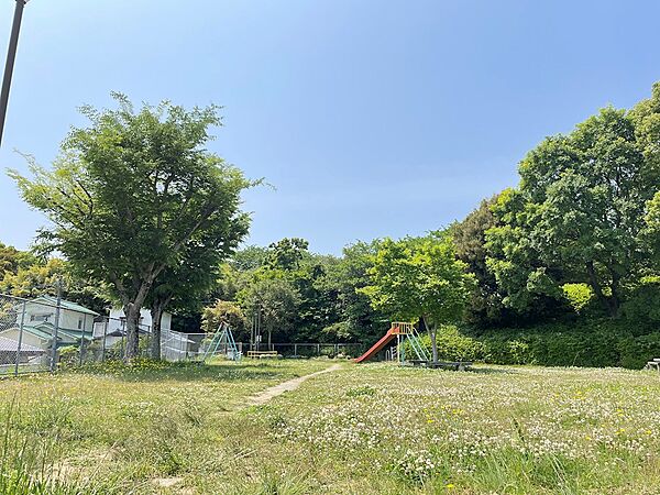 中の谷公園（1969m）