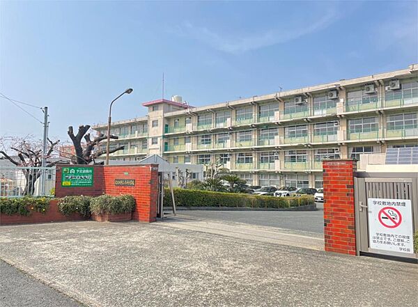 北九州市立赤崎小学校（557m）