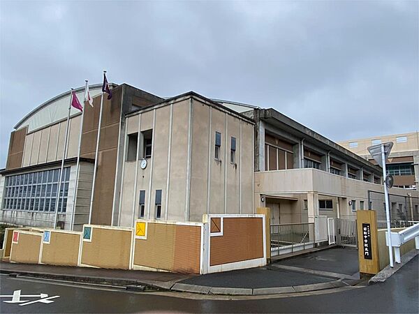 北九州市立若松中学校（902m）
