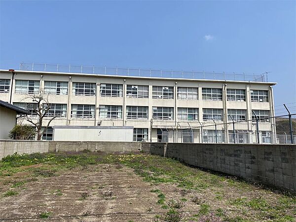 中間市立底井野小学校（537m）