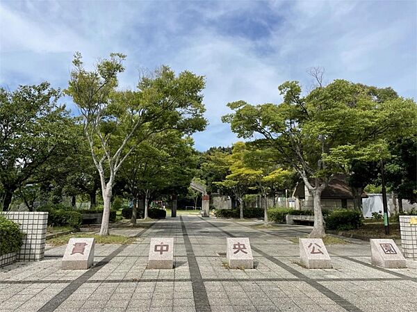 貫中央公園（988m）
