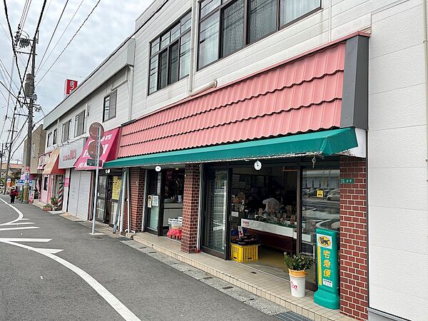 マルニストアー（593m）