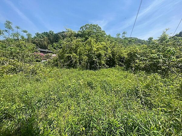 約101坪の広い敷地です