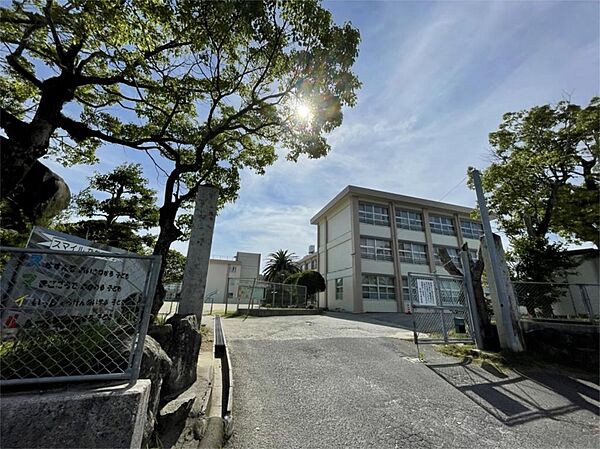 行橋市立仲津小学校（675m）