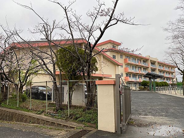 北九州市立企救丘小学校（1084m）