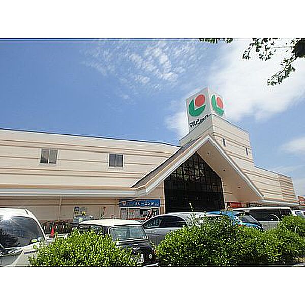 マルショク 富野店（613m）