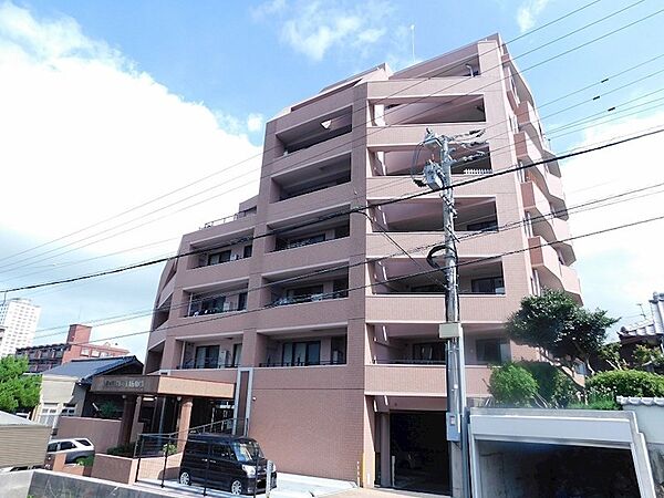 外観：340000199528