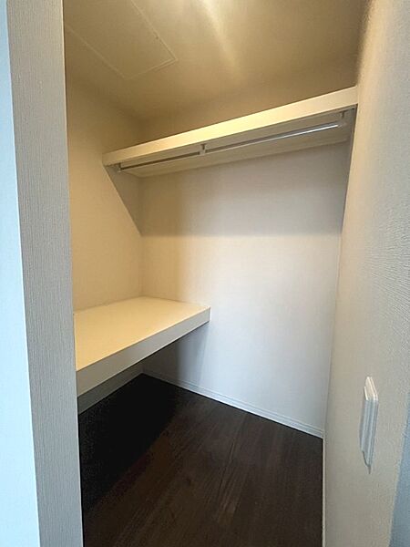 衣類をかけられるパイプと棚を備えた収納スペース。荷物の整理整頓に役立ちます。