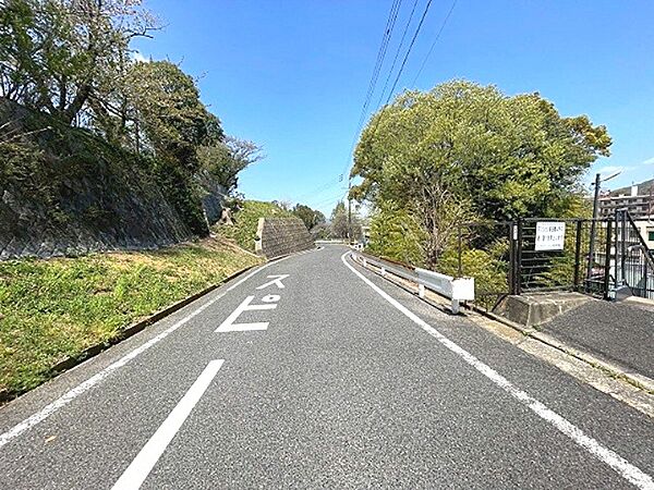 開放感のある見晴らしの良い道路です。