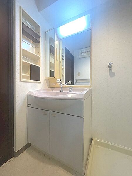 洗面台は収納も充実しており、毎日使う洗面用品をすっきりと整理できます。明るい照明で身支度も快適です。