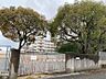 周辺：北九州市立洞北中学校（1133m）