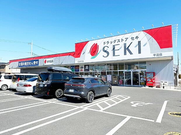 ドラックストア 「ドラッグストアセキ平沼店まで318m」