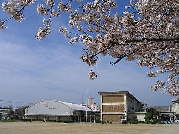 桜木小学校 640m