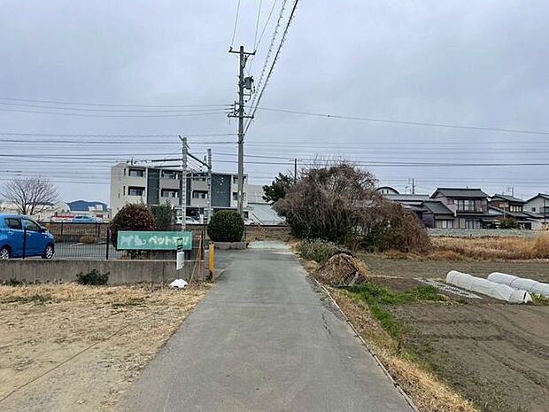 前面道路含む現地写真