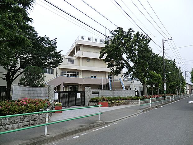 調布市立多摩川小学校　534