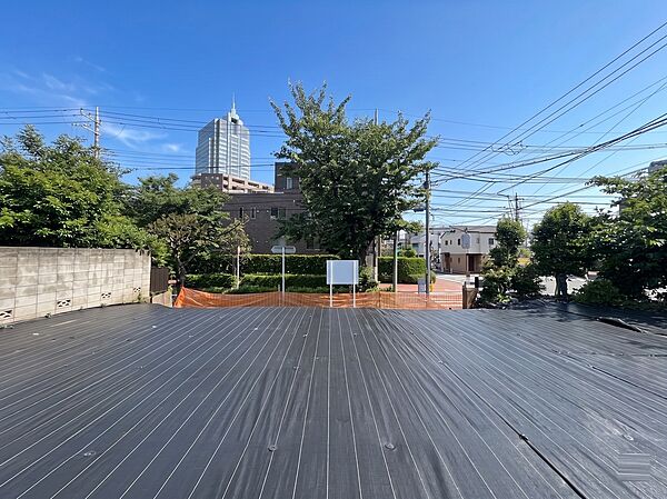 現地写真