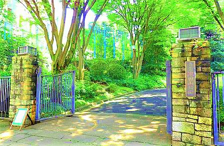 ◇お子様と一緒にのびのびと遊べる公園が多く点在しています。