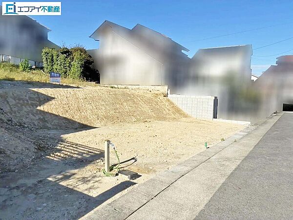 現地写真