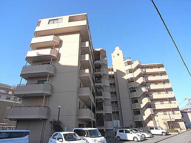10 / 19