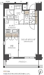 福岡市中央区薬院2丁目マンション 1LDKの間取図画像