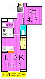 セレスティア亀有 3階1LDKの間取り