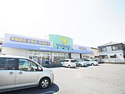 Welpark（ウェルパーク） 葛飾水元店（2114m）
