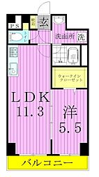 While椿 1LDKの間取図画像