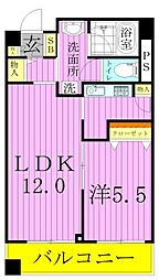 カスタリア荒川 1LDKの間取図画像