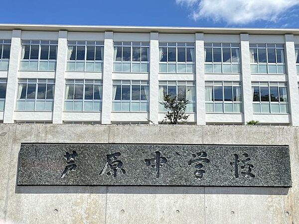 芦原中学校 520m
