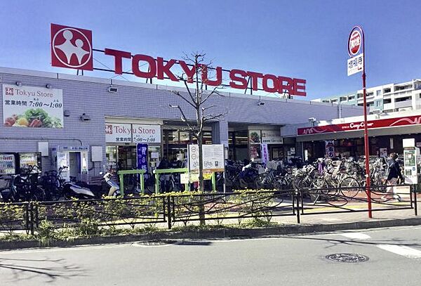 東急ストア 梶が谷店　徒歩7分（約560ｍ）