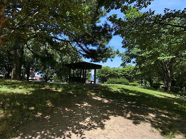 中央スポーツ公園中央スポーツ公園 990m