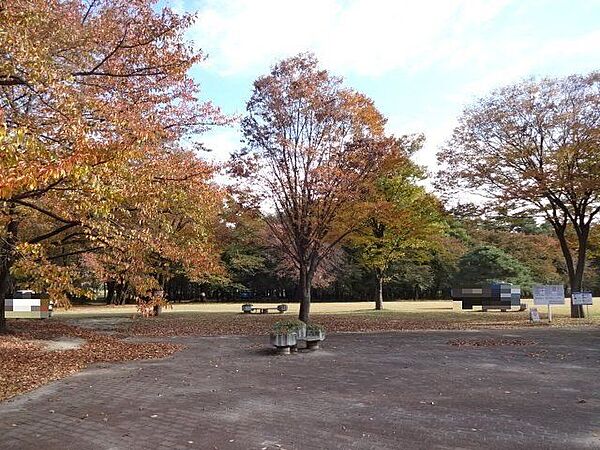 信州スカイパークこども広場 2120m
