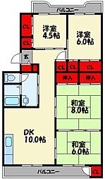 サンコー枝坂コーポ 4階/-