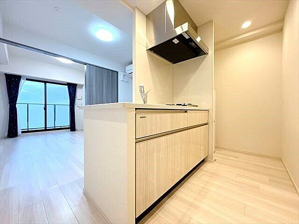 キッチン横に冷蔵庫を配置出来るので家事動線がスムーズになります♪（2024年2月2日　撮影）