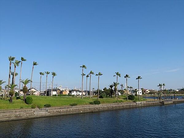 荒子川フェニックスアイランド荒子川公園の中の人口の島。ゆっくりと散歩を楽しめる、水と緑に囲まれた憩いの場です。春には桜の花見が楽しめます。夜にはライトアップされた桜がとても素敵です。 180m