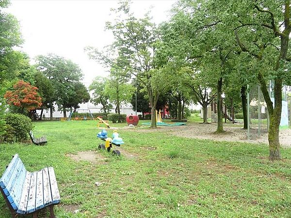 周辺を拡大表示