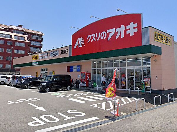 画像16:クスリのアオキ高岡新成店（300m）