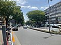 表参道ケヤキ通...