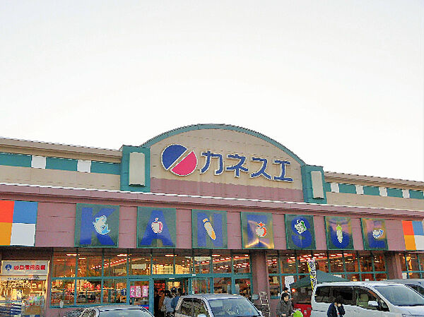 画像3:カネスエ 岐大前店（814m）