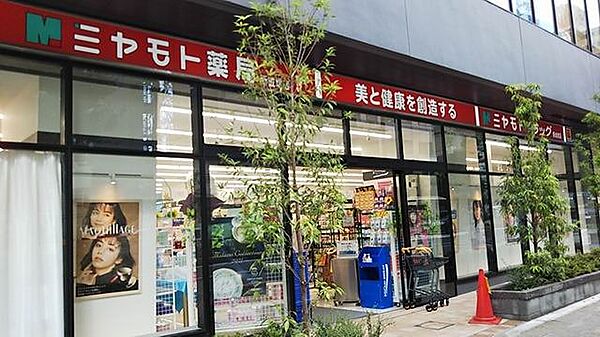 画像19:ミヤモト薬局 新成増店（180m）