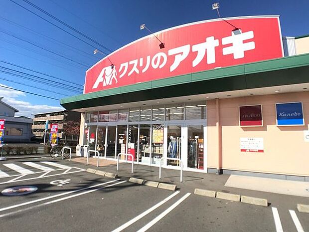 クスリのアオキクスリのアオキ 580m