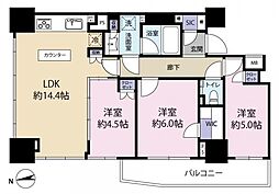 シティタワー大泉学園 3LDKの間取図画像