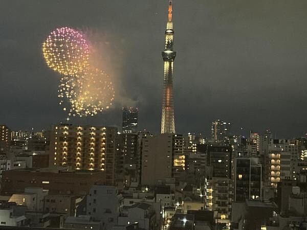 隅田川花火大会の花火が望めます。