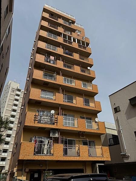 外観：313004762986