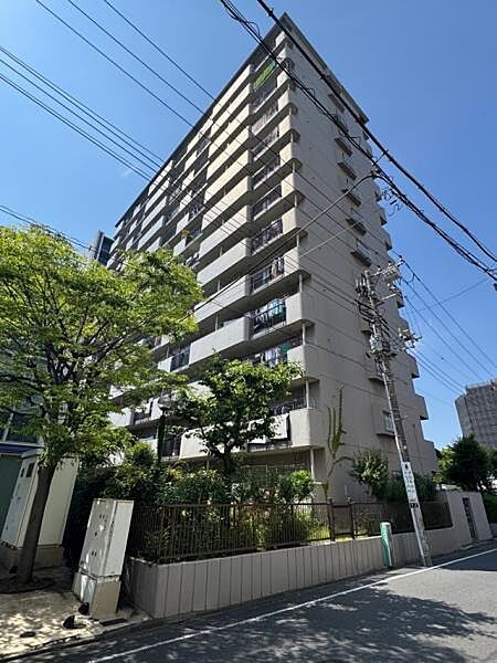 外観：313004762830