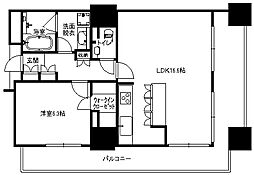 広島電鉄9系統 縮景園前駅 徒歩1分の賃貸マンション 16階1LDKの間取り