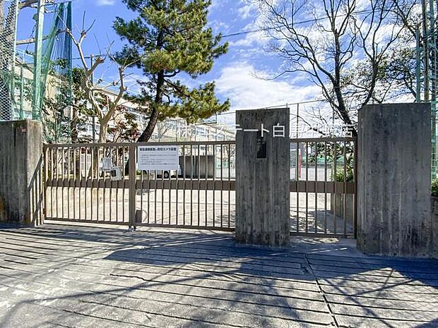 杉並区立富士見丘小学校（1000m）