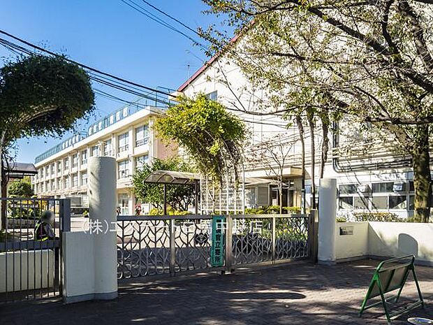 練馬区立関町北小学校(710m)