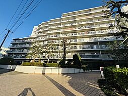 目白ガーデニア